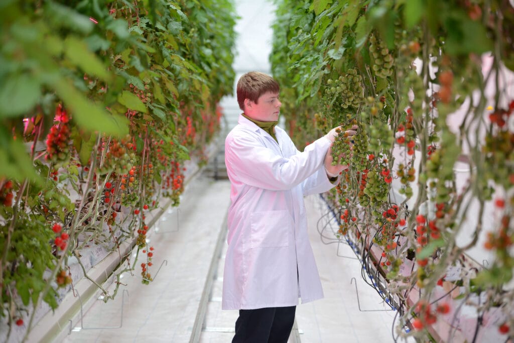 Glasshouse and vertical farm at University Centre Reaseheath