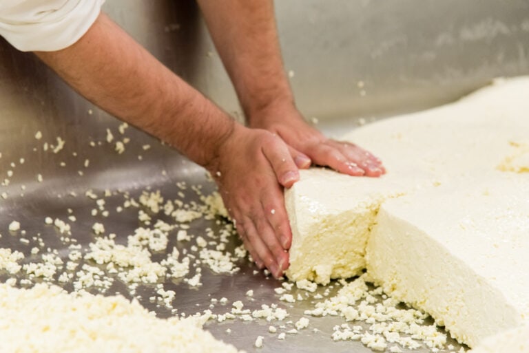Cheese Making
