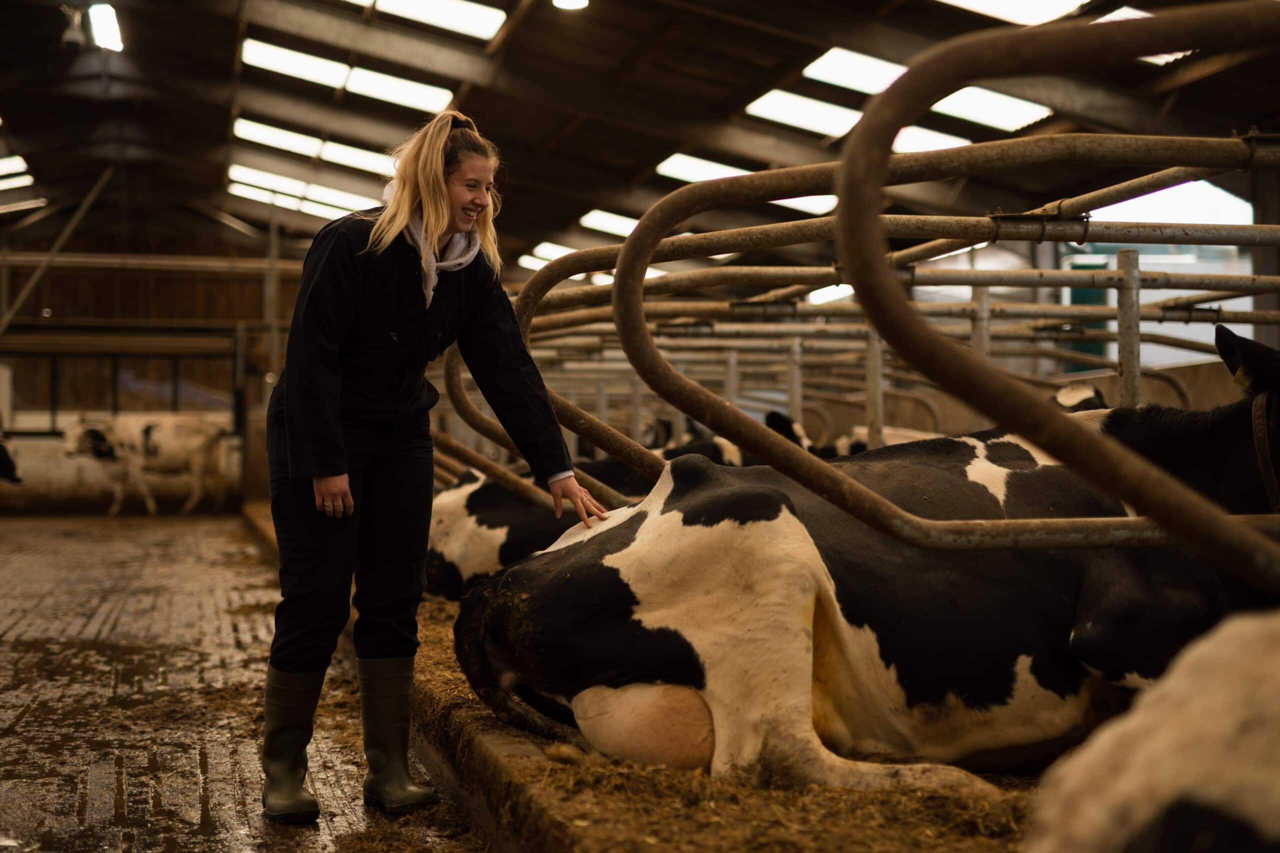 Foundation Degree in Sustainable Agriculture with Livestock Management |  University Centre Reaseheath