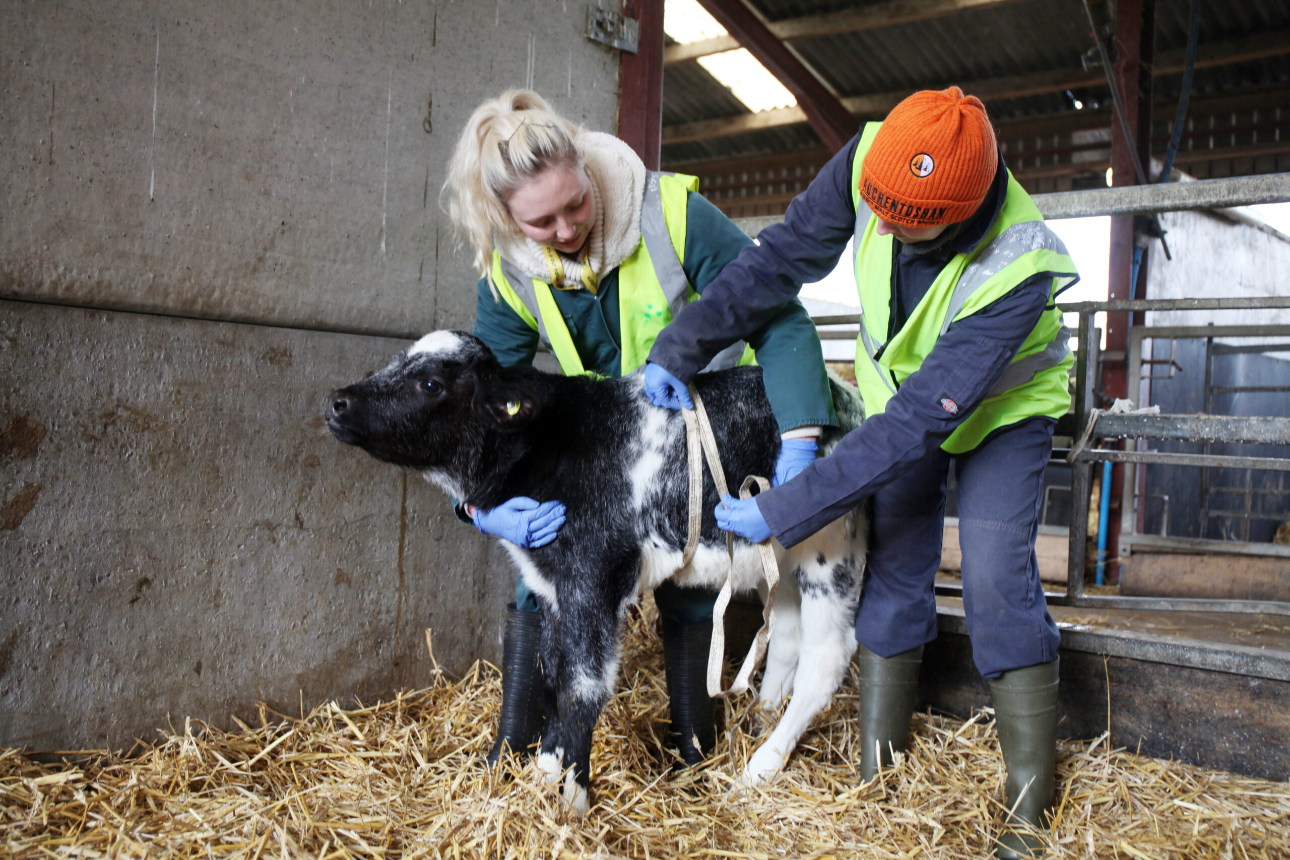 Access to HE agriculture at University Centre Reaseheath