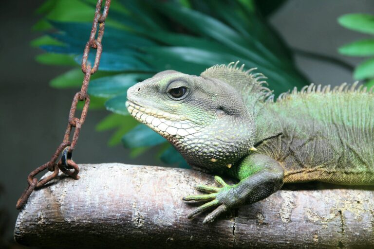 IMG_2586-scaled