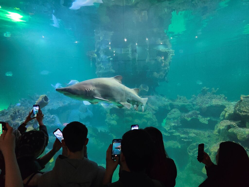 Animal Science students from Reaseheath College and University Centre get up close and personal with sharks at Blue Planet Aquarium