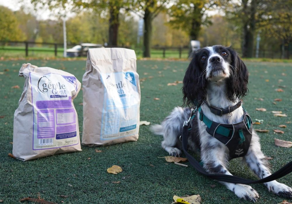 Gentle dog food donation to UCR Canine undergraduates