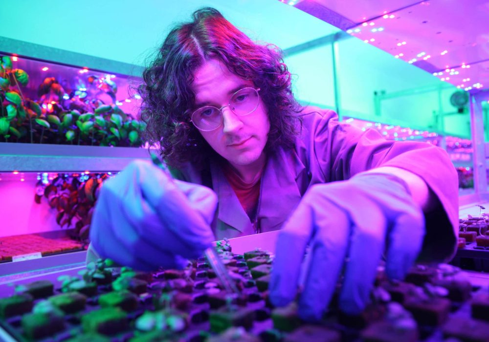 From field to fork - our students learn about all parts of the food chain, with our vertical farm and glass houses playing a vital role in the learning journey.