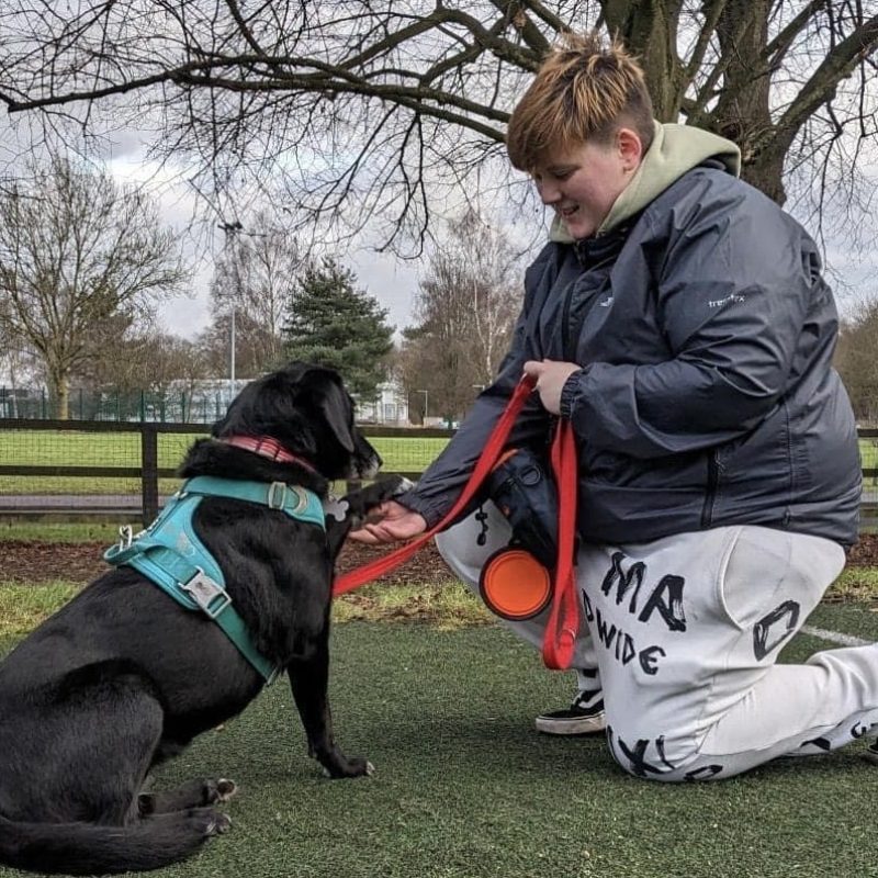 UCR Canine Behaviour and Training undergraduate Kieran Tormey