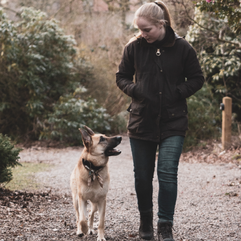Canine Behaviour University Centre Reaseheath