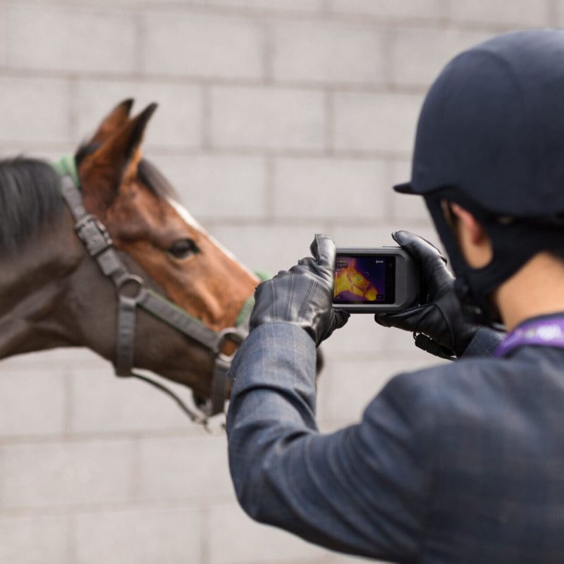 People in Action - Equine thermal camera