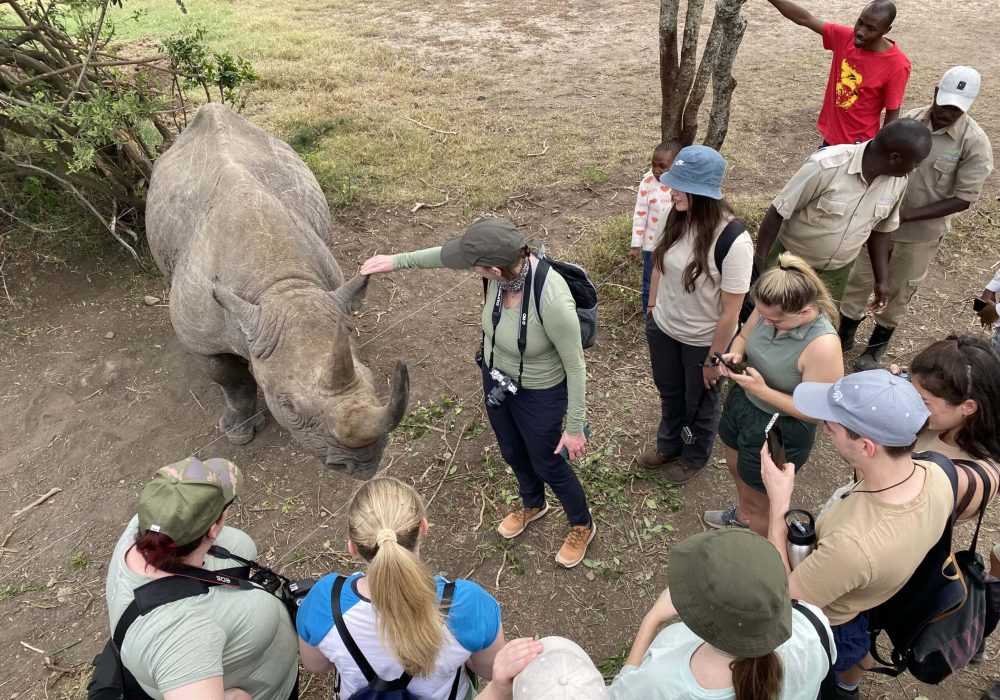 UCR Africa study tour 2022 - up close to a rhino