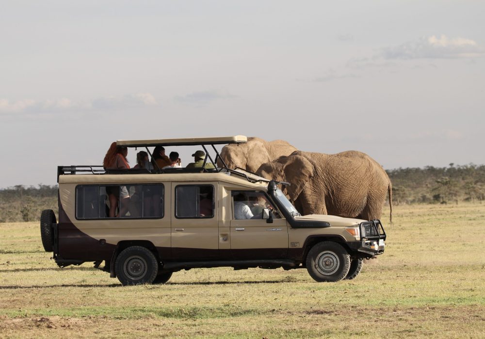 UCR Africa study tour 2022 - up close to elephants
