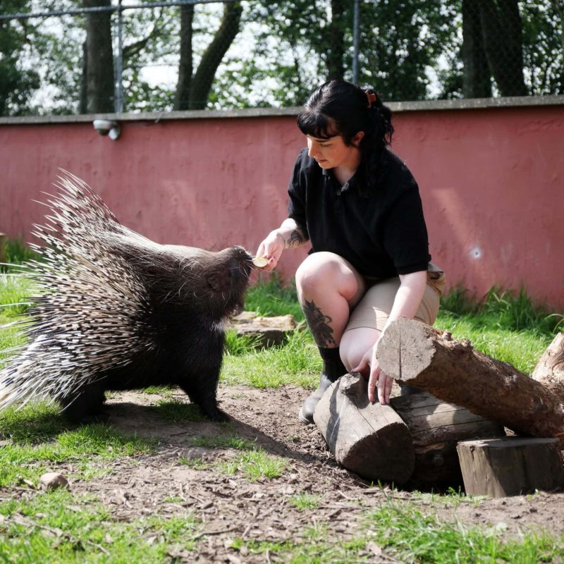 Degree in Applied Zoology practical at University Centre Reaseheath