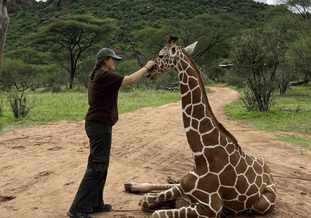 UCR undergraduate meets a giraffe during study tour to Kenya