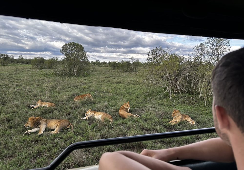 UCR undergraduate sees lions up close during study tour to Kenya